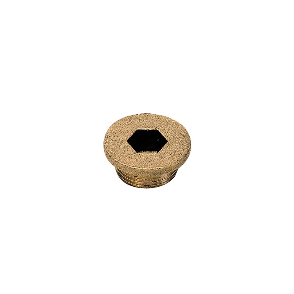 0202 80 00 BL'G PLUG M20 ALLEN S'KT BRASS