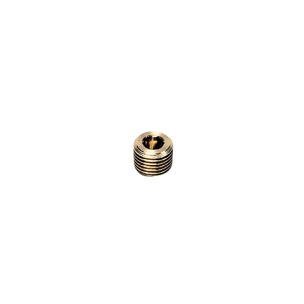 0205 34 00 BL'G PLUG  1" BSPT  S'KT BRASS