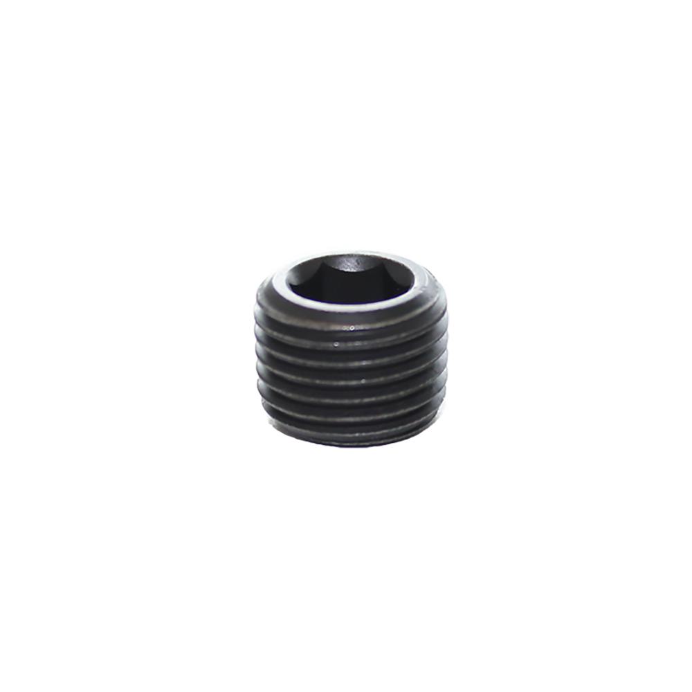 0206 49 00 BL'G PLUG 1 1/2"BSPT SK'T STEE