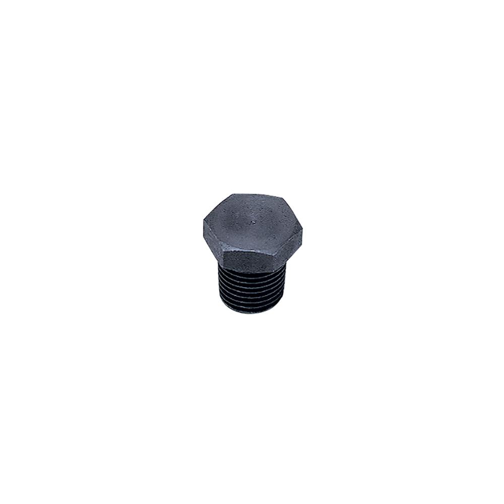 0216 13 00 BLANKING PLUG HEX HD 1/4" BSPT