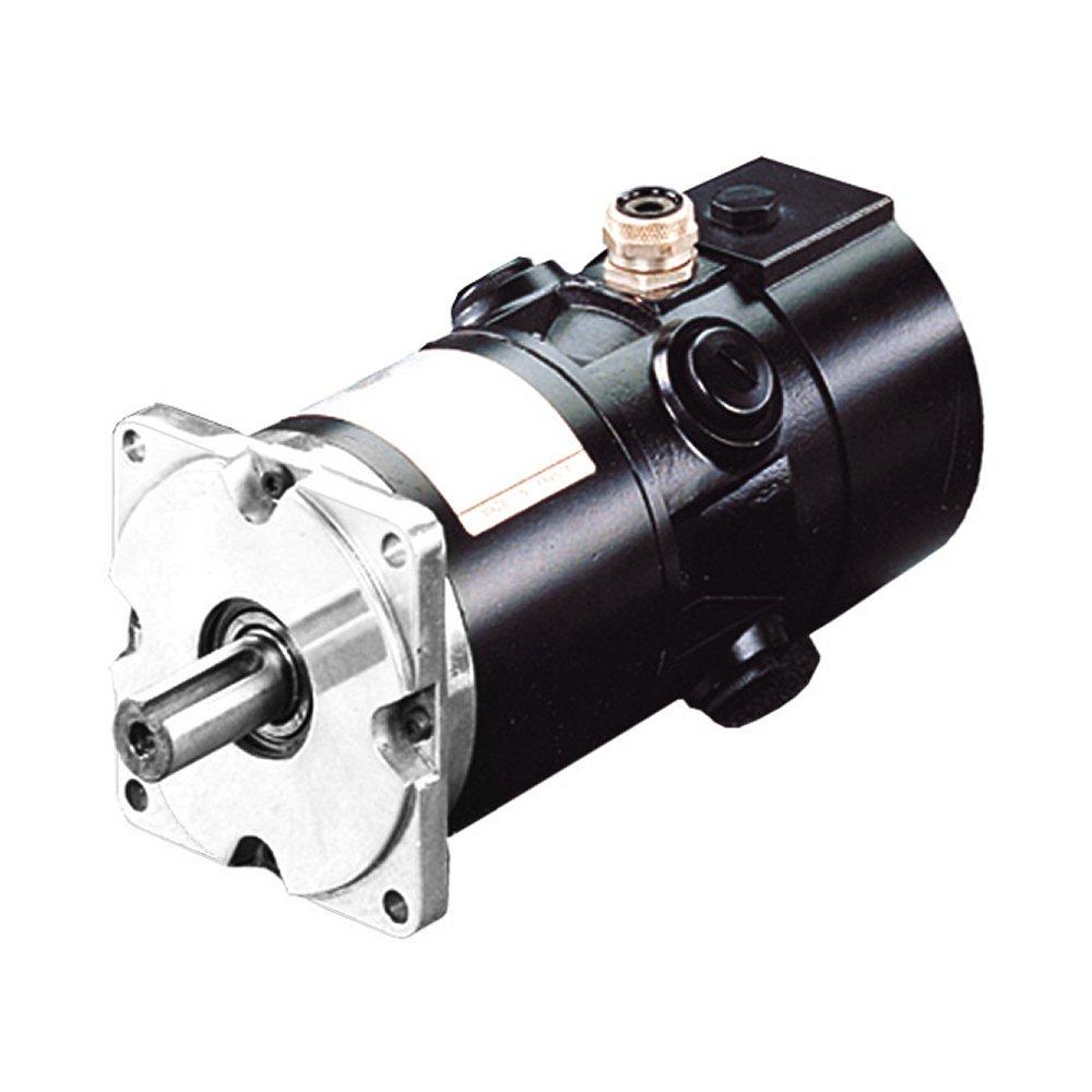 RS440GR1300 DC servo motor