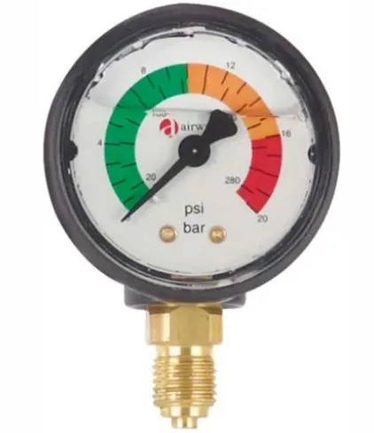 Pressure gauge Cintropur 1/4" 0-20 Bar for NW500/650/800