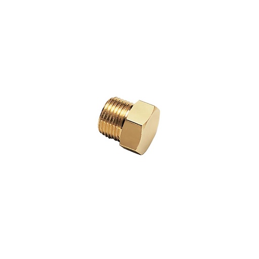 0125 10 00 PLUG-TUBE END 10MM