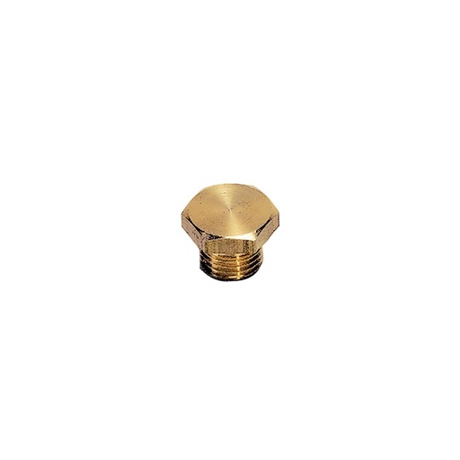 0200 13 00 BL'G PLUG 1/4"BSPP HEXHD BRASS
