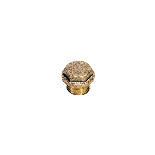 0201 34 00 BL'G PLUG  1" BSPP HEXHD BRASS