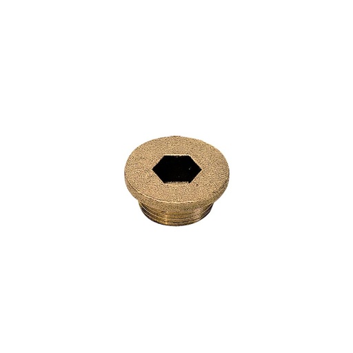 0202 75 00 BL'G PLUG M16 ALLEN S'KT BRASS