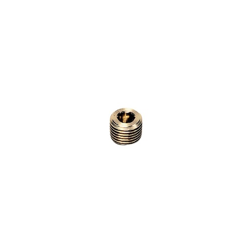 [236476] 0205 17 00 BL'G PLUG 3/8"BSPT  S'KT BRASS