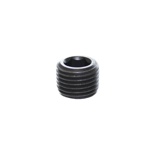 0206 34 00 BL'G PLUG  1" BSPT  S'KT STEEL