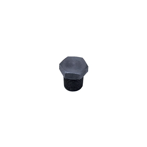 0216 13 00 BLANKING PLUG HEX HD 1/4" BSPT