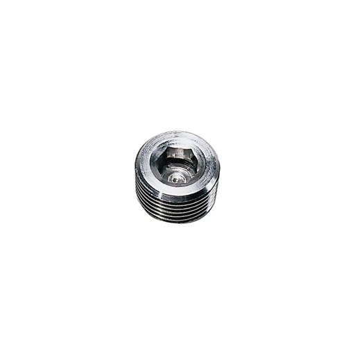 0285 14 00 STAINLESS STEEL PLUG 1/4" NPT