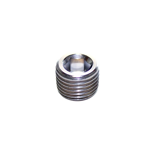 0285 34 00 STAINLESS STEEL PLUG 1" BSP