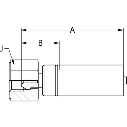 1922X-4-025 ST DK 60° KON. 1/4" BSP SW22
