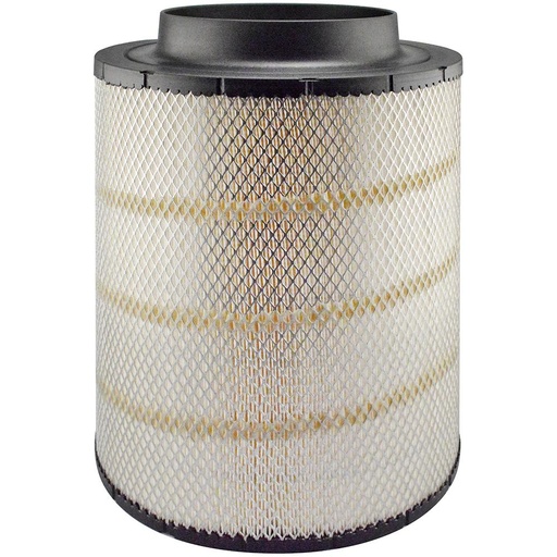 PA30010 Air Filter, disposable