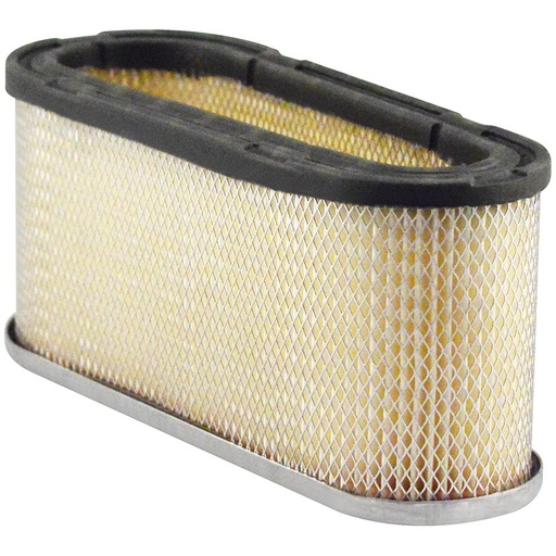PA30018 Air Filter, Oval