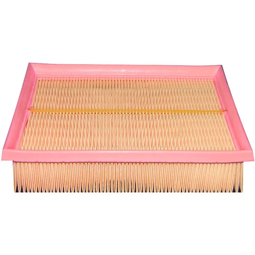 PA4176 Air Filter Element, panel