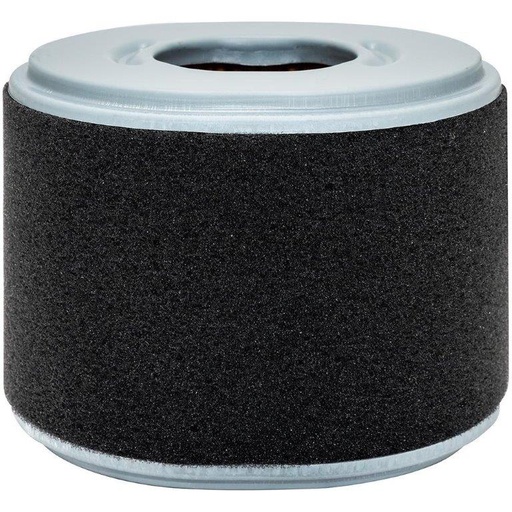 PA4552 Air Filter Element