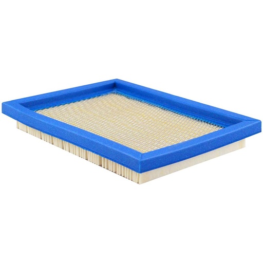 PA4555 Air Filter Element, panel
