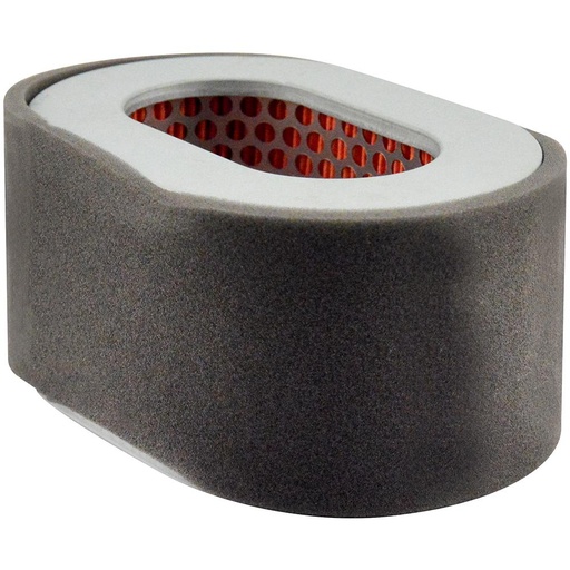 PA4886 Air Filter Element