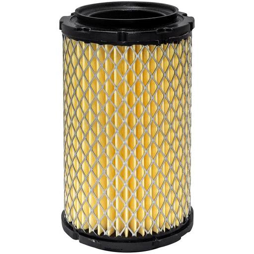 PA4939 Air Filter Element