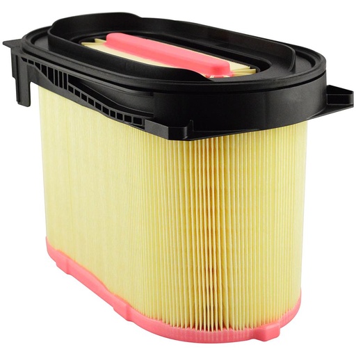 PA5289 Air Filter, Oval