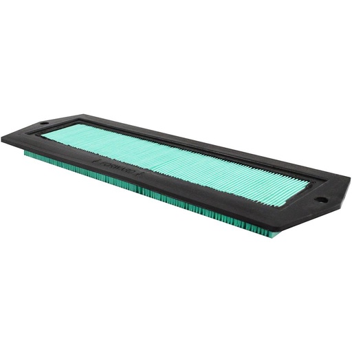 PA5625 Cabin Air Filter