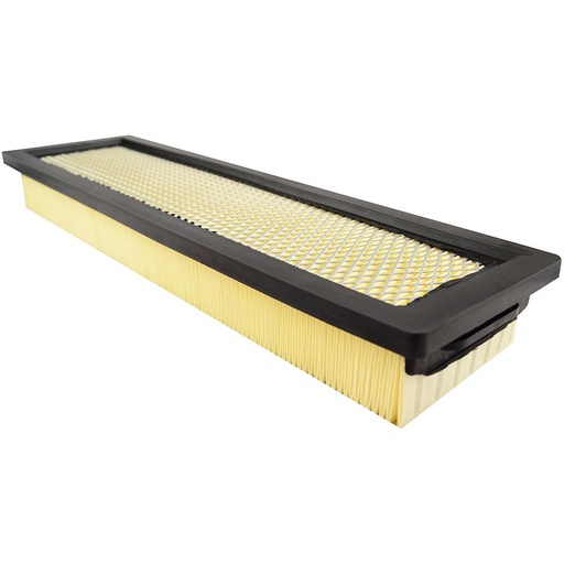 PA5667 Cabin Air Filter