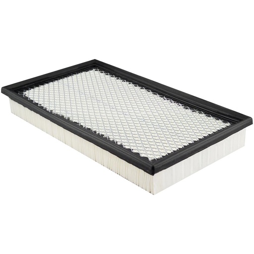 PA5669 Cabin Air Filter