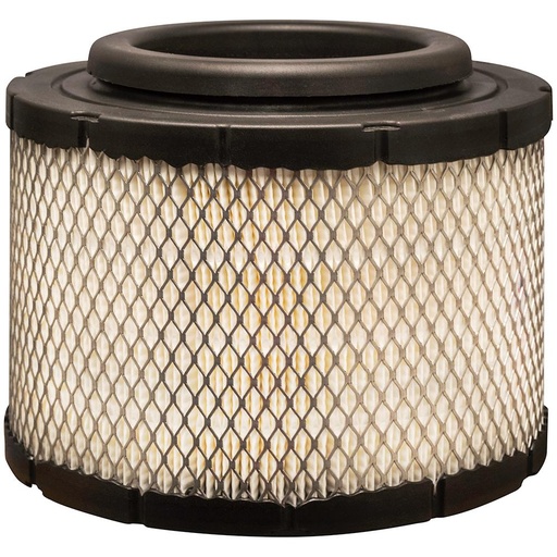RS10035 Air Filter, Radial Seal