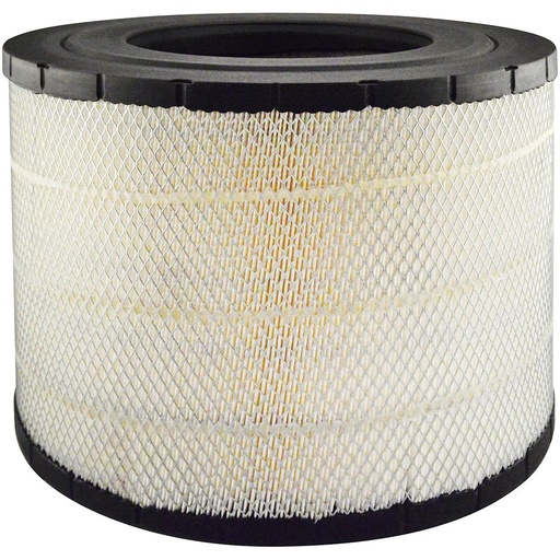 RS30065 Air Filter, Radial Seal