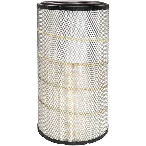 RS30216 Air Filter, Radial Seal