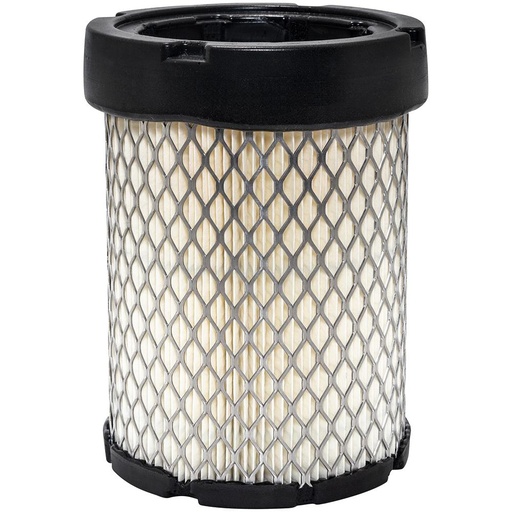 RS3529 Air Filter, Radial Seal