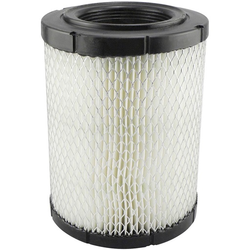 RS4161 Air Filter, Radial Seal