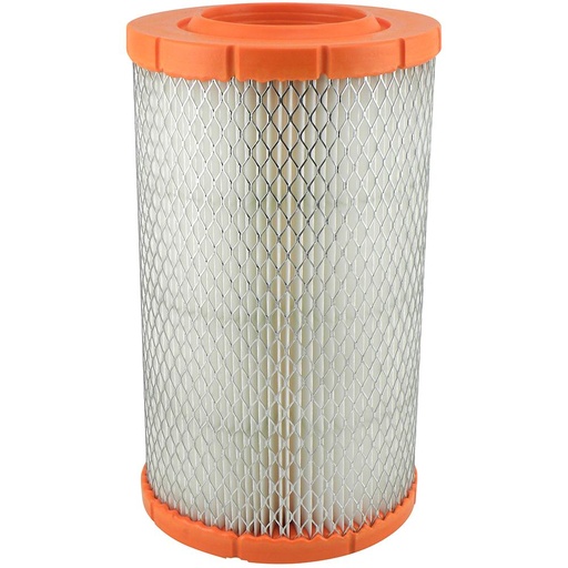 RS4445 Air Filter, Radial Seal