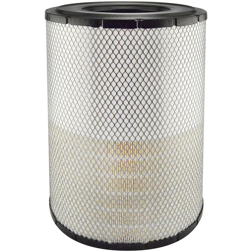 RS4561 Air Filter, Radial Seal