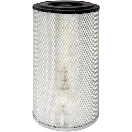 RS4861 Air Filter, Radial Seal