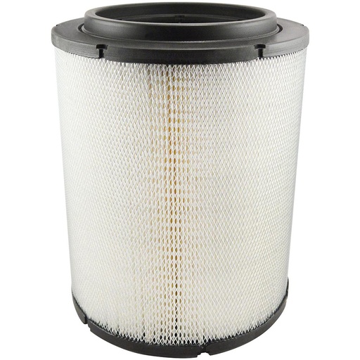 RS5693 Air Filter, Radial Seal