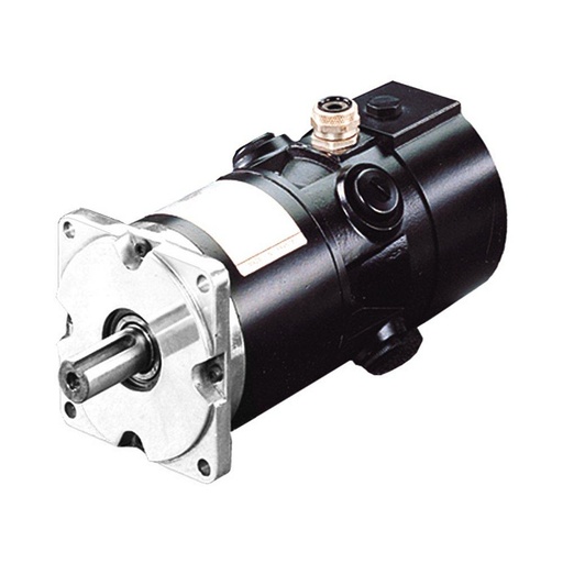 RS620GR1100 DC servo motor