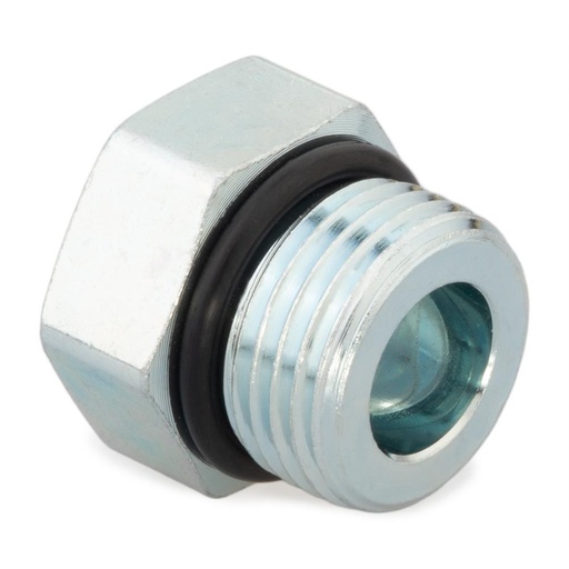 10 P5ON-SS HEX HEAD PLUG